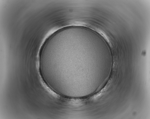 X0000099501080200805221355