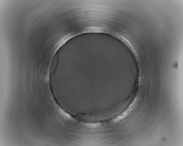 X0000099501081200805221355