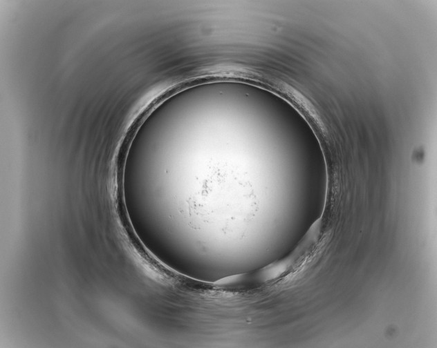 X0000099501082200805221355