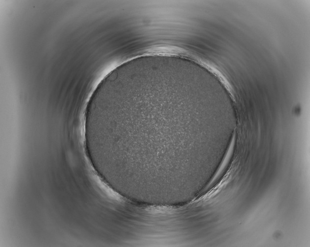 X0000099501083200805221355