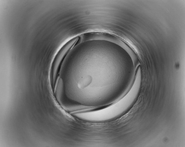 X0000099501084200805221355