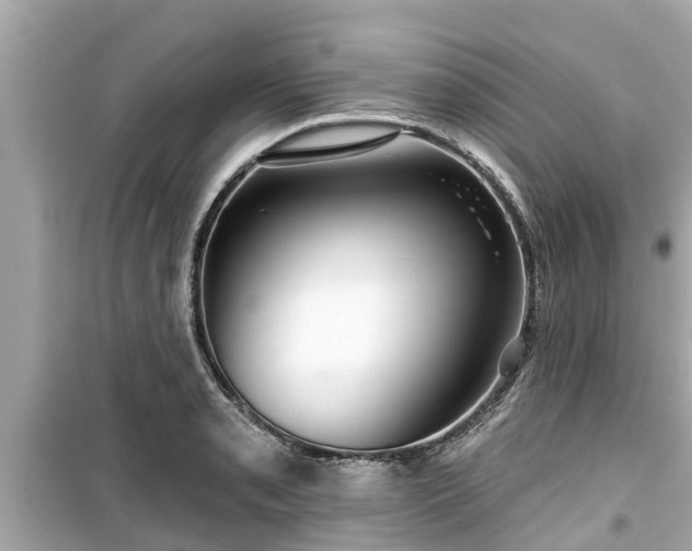 X0000099501085200805221355