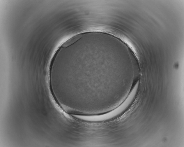 X0000099501088200805221355