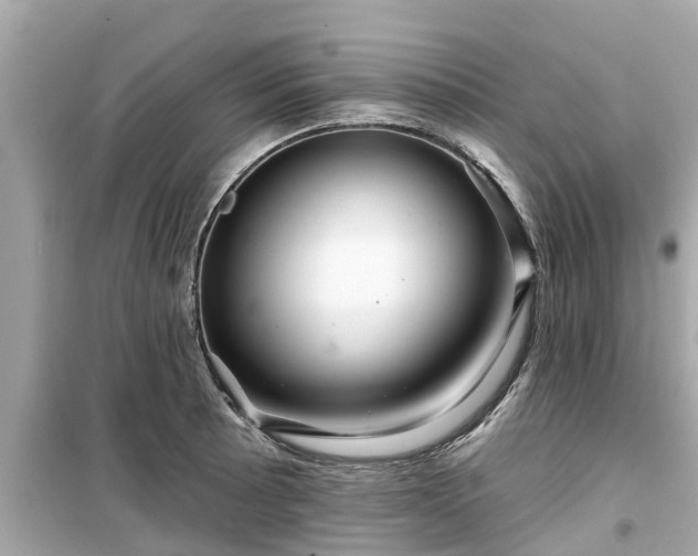 X0000099501089200805221355