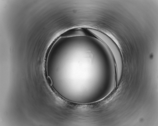 X0000099501093200805221355