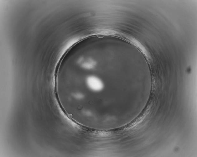 X0000099501095200805221355