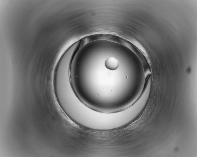 X0000099501096200805221355