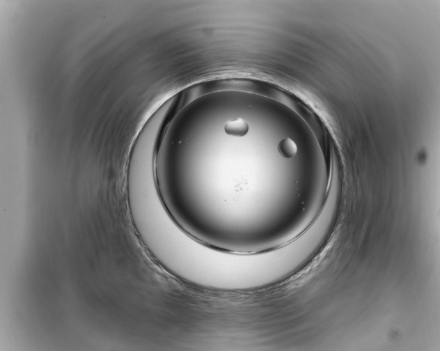 X0000099501097200805221355