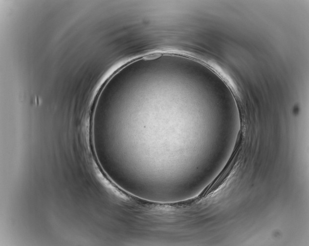 X0000099501100200805221355