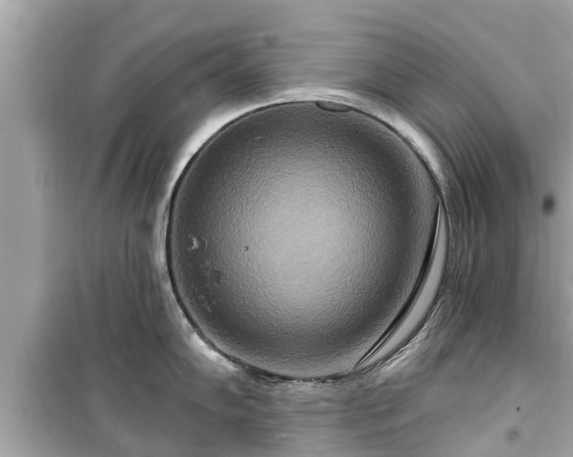 X0000099501102200805221355