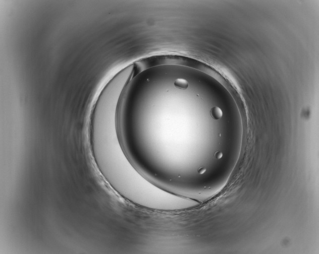 X0000099501104200805221355