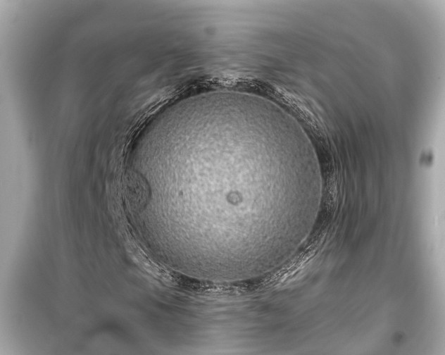 X0000099501105200805221354