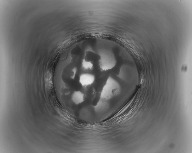 X0000099501106200805221354