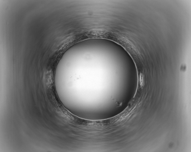 X0000099501107200805221354