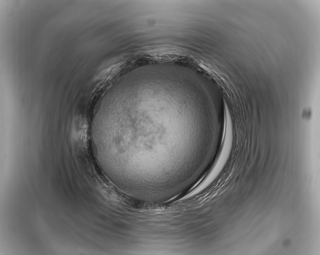 X0000099501108200805221354