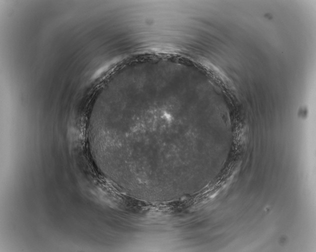 X0000099501110200805221354