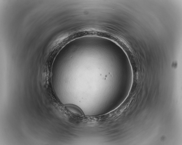 X0000099501111200805221354