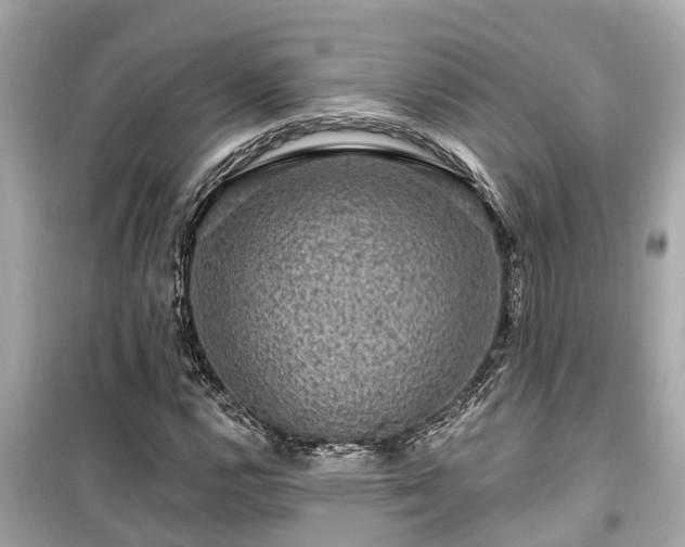 X0000099501112200805221354