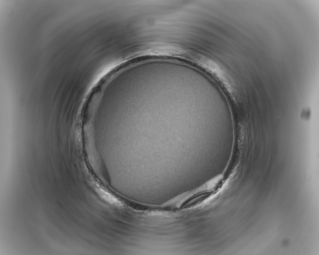 X0000099501114200805221354