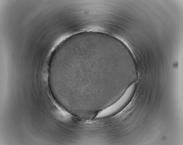 X0000099501115200805221354