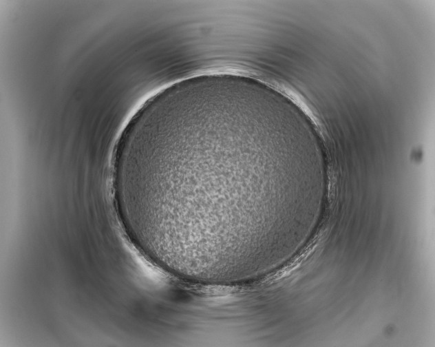 X0000099501116200805221354
