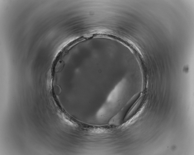 X0000099501117200805221354