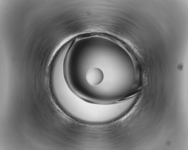 X0000099501118200805221354