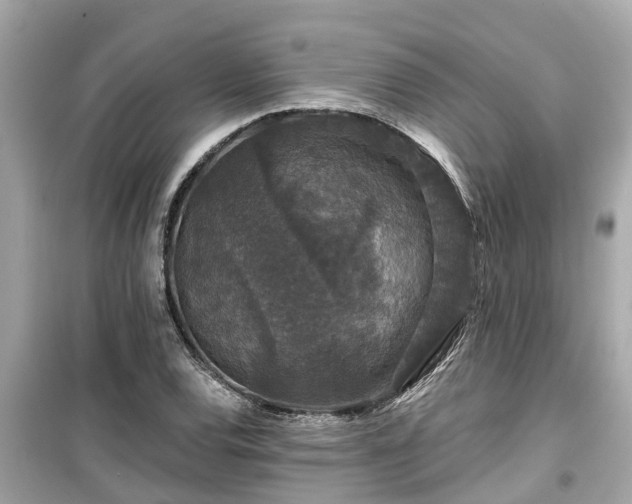 X0000099501120200805221354