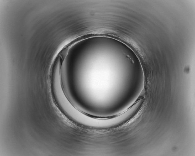X0000099501122200805221354