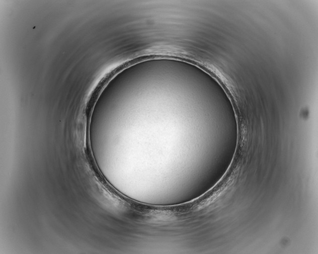 X0000099501123200805221354