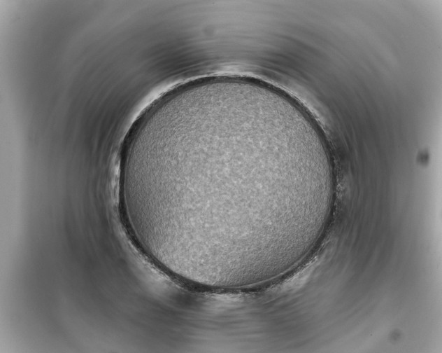 X0000099501126200805221354