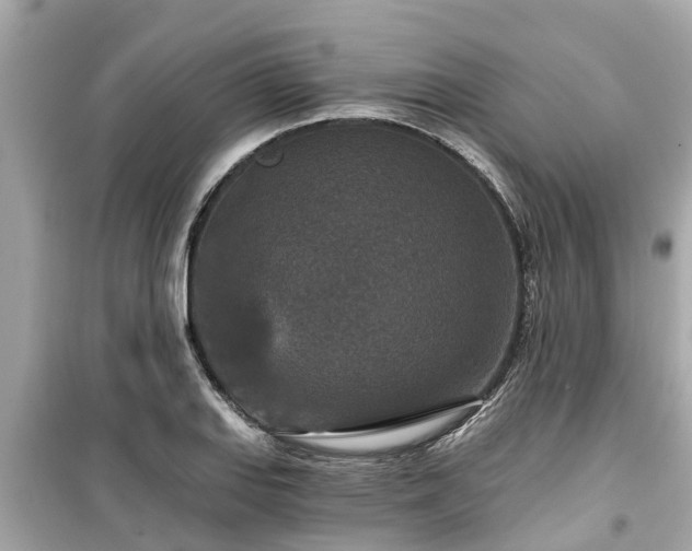 X0000099501127200805221354