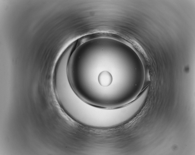 X0000099501132200805221354