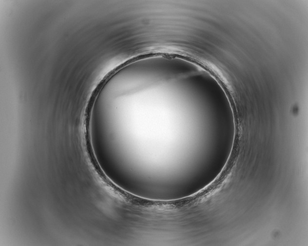 X0000099501133200805221354