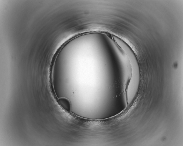X0000099501134200805221355
