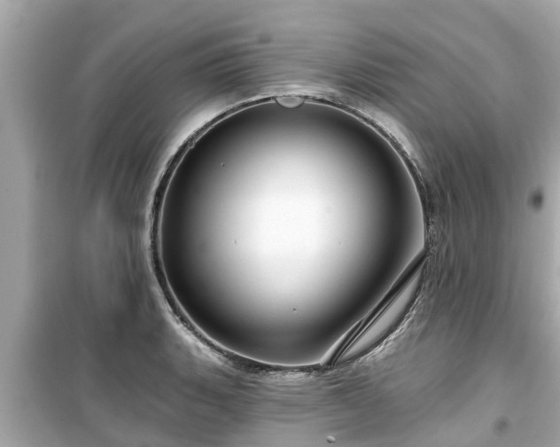 X0000099501135200805221355