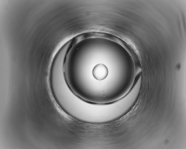 X0000099501136200805221355
