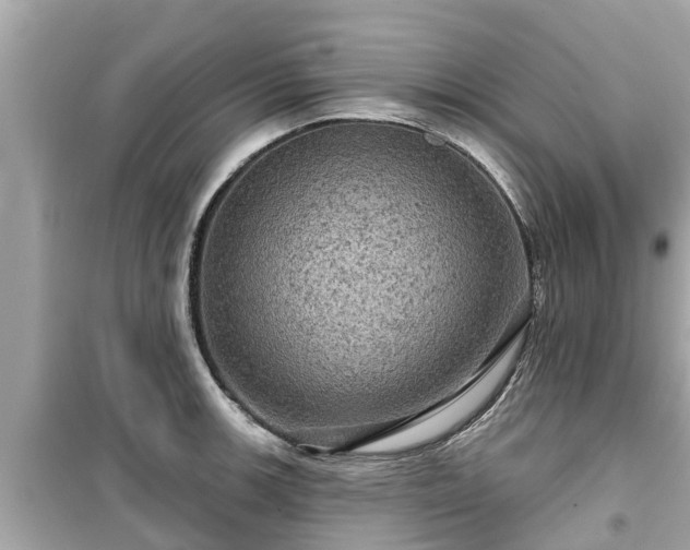 X0000099501139200805221355