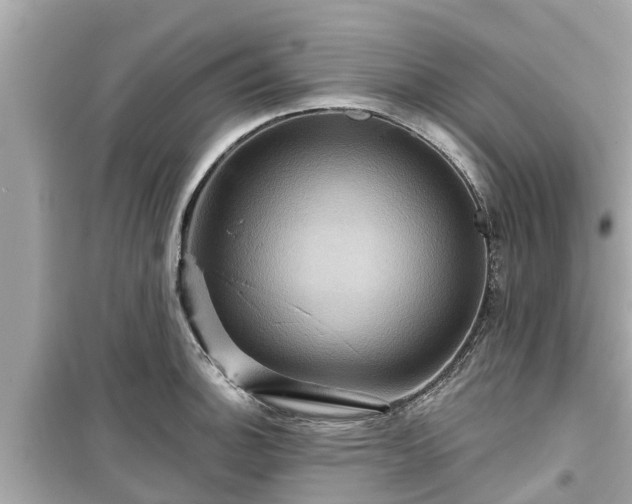 X0000099501140200805221355