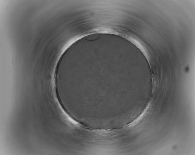 X0000099501141200805221355