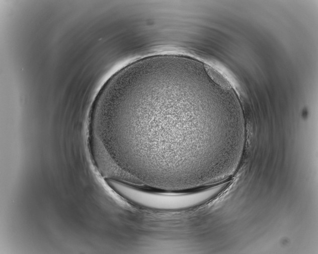 X0000099501142200805221355