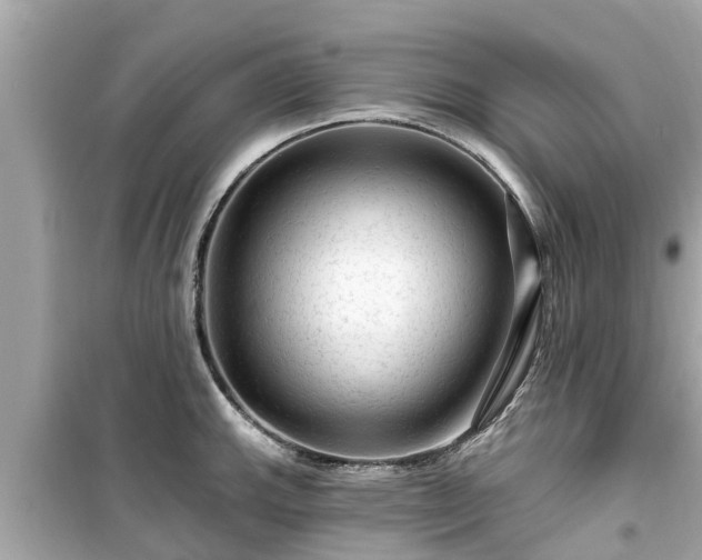 X0000099501143200805221355