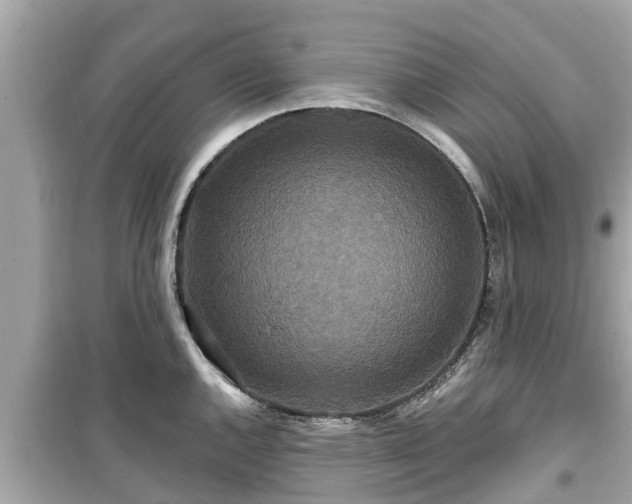 X0000099501144200805221355