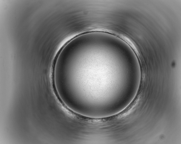 X0000099501149200805221355