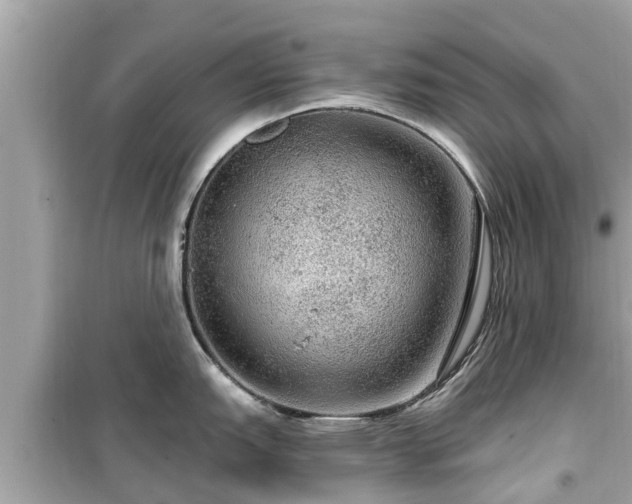 X0000099501151200805221355