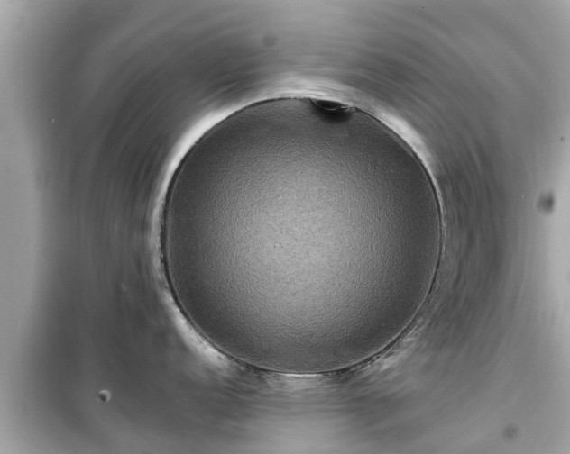 X0000099501152200805221355
