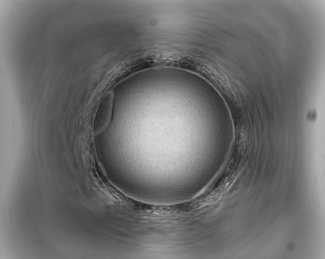 X0000099501153200805221354