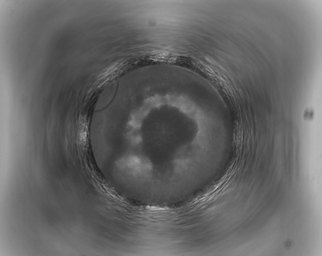 X0000099501154200805221354