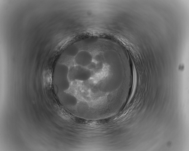 X0000099501155200805221354