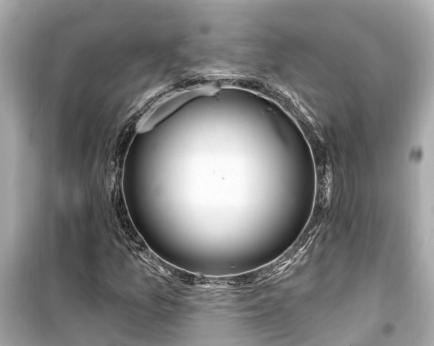 X0000099501157200805221354